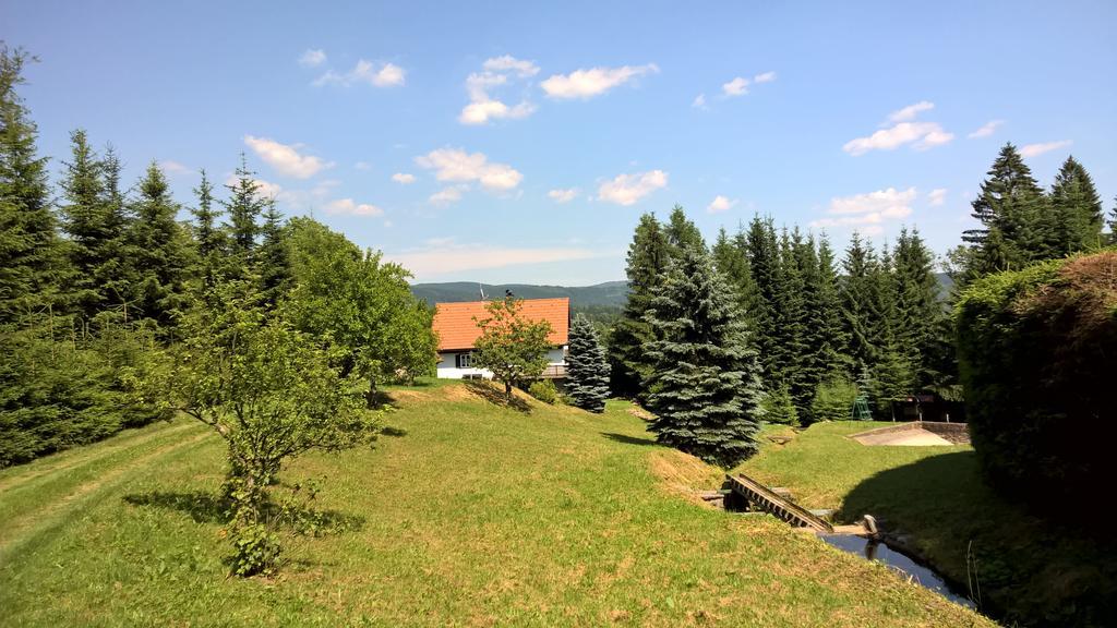 Nové Město nad Metují Chalet Lomyヴィラ 部屋 写真