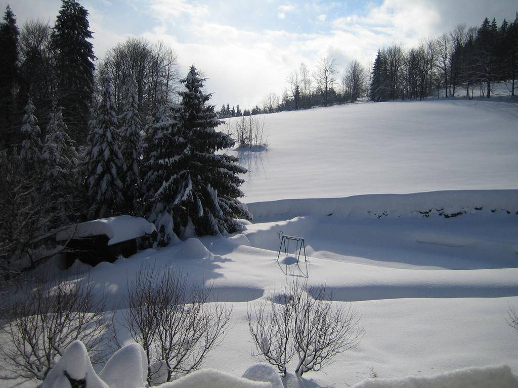 Nové Město nad Metují Chalet Lomyヴィラ 部屋 写真